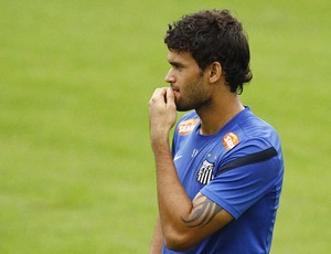 Willian José, atacante do Santos (Foto: Ricardo Saibun/Divulgação Santos FC)