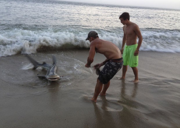 Elliot Sudal fisgou um tubarão de 2,1 metros enquanto pescava com amigos em uma praia em Nantucket (Foto: Hanson Grant//Reuters)