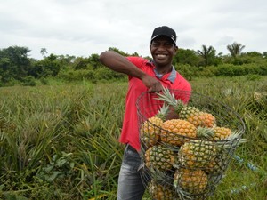 Produção de abacaxis cresce e ganha destaque em Cujubim, RO (Foto: Eliete Marques/G1)