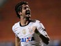 Pato comemora evolução, mas pede calma: 