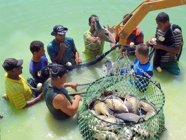 Tambaqui é o peixe mais cultivado no estado (Foto: Luiz Martins/TV Ariquemes)