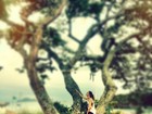 Giovanna Ewbank sobe em árvore e contempla a vista
