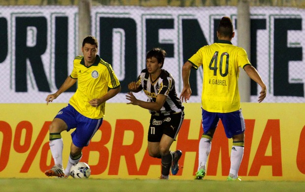 Felipe Menezes e Zeballos Palmeiras x Botafogo (Foto: Célio Messias/Agência Estado)
