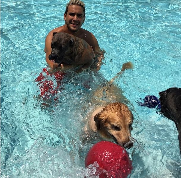 Andre Marques e cachorro na piscina (Foto: Instagram / Reprodução)