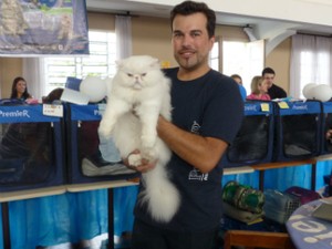 O criado Wilton Paz e um dos gato da raça persa (Foto: Thais Skodowski/ G1)