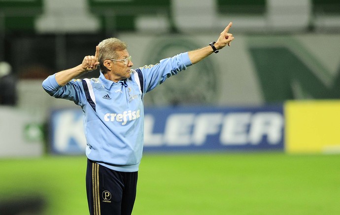 oswaldo de oliveira palmeiras jogo asa (Foto: Marcos Ribolli)