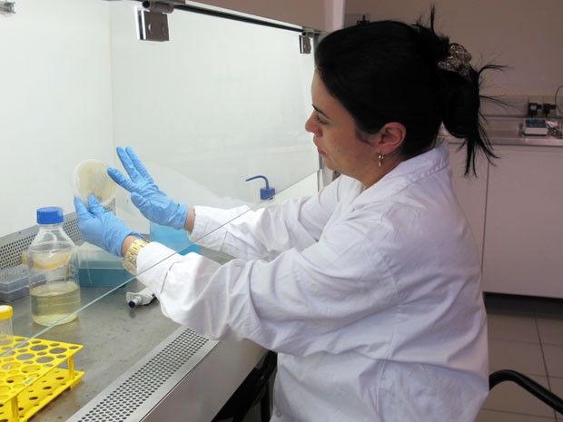 Doutora Elen Aquino coordena as pesquisas sobre a bacteria (Foto: Mariane Rossi/G1)