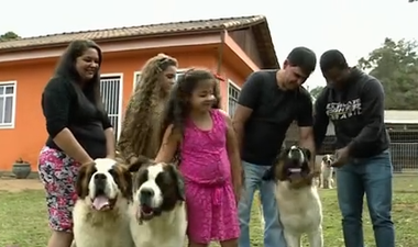 Família tem quatro cães de raça São Bernardo (Foto: Reprodução/ Encontro)