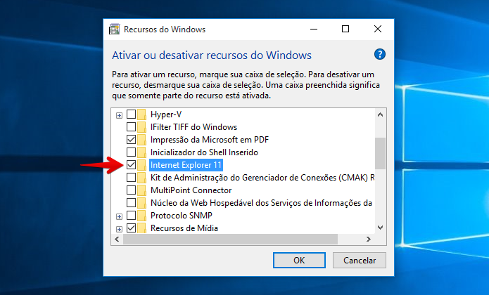 Reativando o Internet Explorer (Foto: Reprodução/Helito Bijora) 