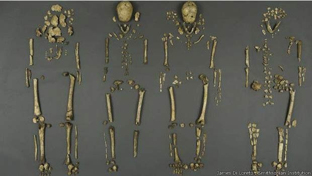 Apenas cerca de 30% das ossadas estavam preservadas (Foto: James Di Loreto/ Smithsonian Institution/ BBC)