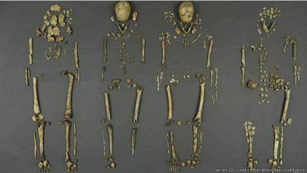Apenas cerca de 30% das ossadas estavam preservadas (Foto: James Di Loreto/ Smithsonian Institution/ BBC) Apenas cerca de 30% das ossadas estavam preservadas (Foto: James Di Loreto/ Smithsonian Institution/ BBC)