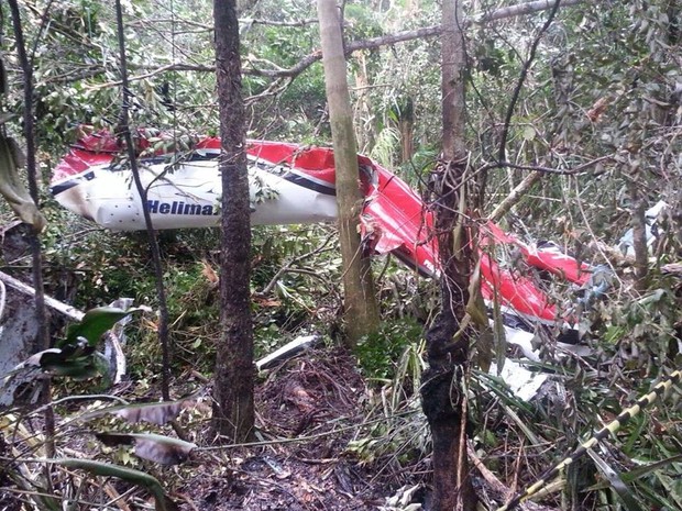 Helicóptero caiu em uma área de mata em Bertioga, no litoral de São Paulo (Foto: Divulgação / Polícia Militar)