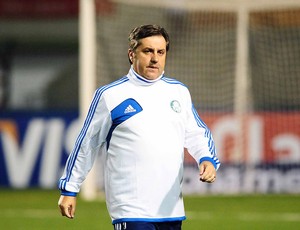 Gilson Kleina Palmeiras  (Foto: Marcos Ribolli)