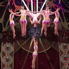Melhora estado das brasileiras que caíram em circo nos EUA (Divulgação/Feld Entertainment)