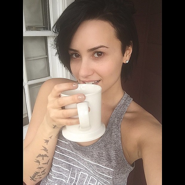 Demi Lovato posa para selfie (Foto: Instagram/ Reprodução)
