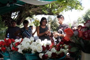 Flores são escolhidas para prestar homenagem aos pais mortos.  (Foto: Ray Nonato/Amazônia Jornal)