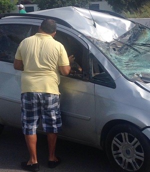 Para-brisa do carro ficou destruído após atropelar cavalo na AL-101 Sul (Foto: Arquivo pessoal)
