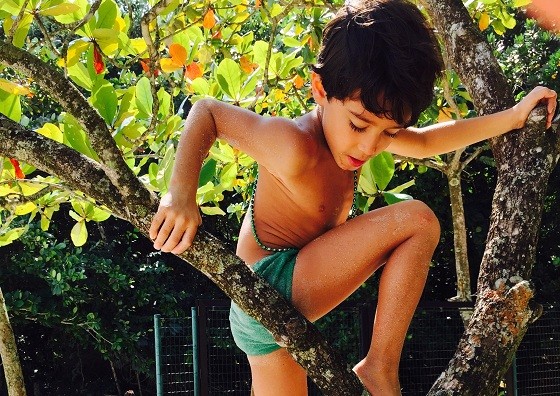 Criança brinca de subir numa árvore (Foto: Luiza Esteves - Divulgação Instituto Alana)