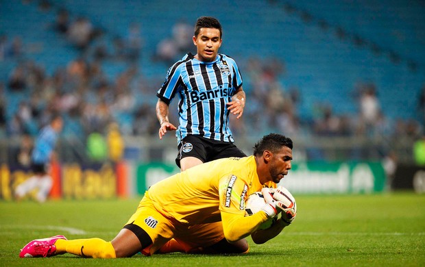 Grêmio x Santos - aranha (Foto: Marcos Ribolli)