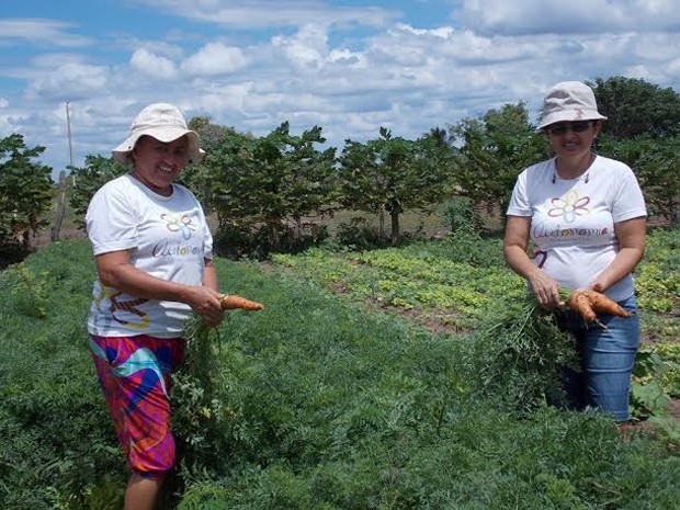 Projeto ajuda produtoras rurais (Foto: Arquivo Cunhã)