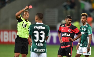 Marcio Araujo Flamengo Palmeiras (Foto: Marcos Ribolli)