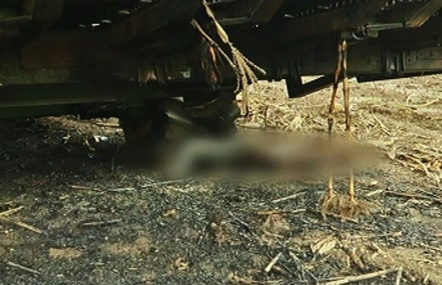 Jovem leva choque elétrico durante colheita e morre em Jataí, GO (Foto: Reprodução / TV Anhanguera)