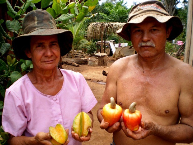 Acampamento Canaã abriga 126 famílias que cultivam diversos produtos para consumo próprio e como fonte de renda (Foto: Canaã/Divulgação)