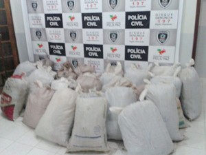 Mais 600kg de maconha foram apreendidos pela Polícia em Monteiro (Foto: Divulgação/Polícia Civil)