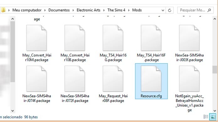 Coloque os arquivos na pasta Mods (Foto: Reprodução/Tais Carvalho)