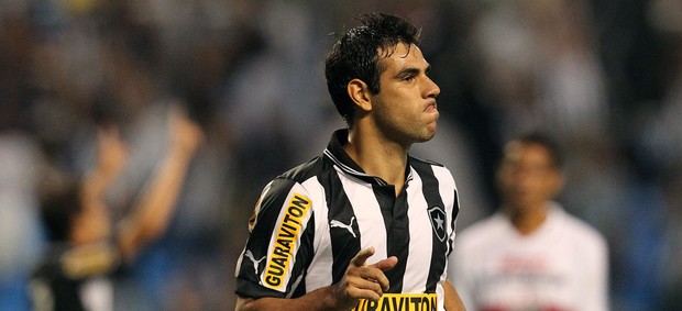 Herrera gol Botafogo (Foto: Satiro Sodré / AGIF)