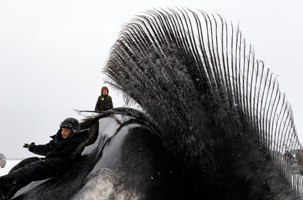 Crianças transformaram baleia morta em 'escorregador' (Foto: Gregory Bull/AP)