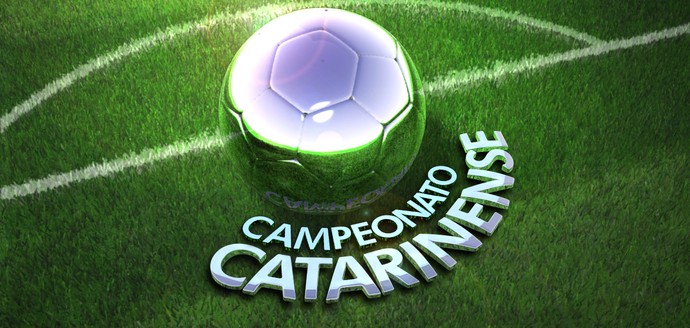 Logo do Campeonato Catarinense 2013 (Foto: Arte/Globo)