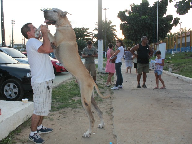 O empresário Marcelo Figueiredo levou os cães da raça Dog Alemão para o evento (Foto: Romulo de Sousa/G1 AM)