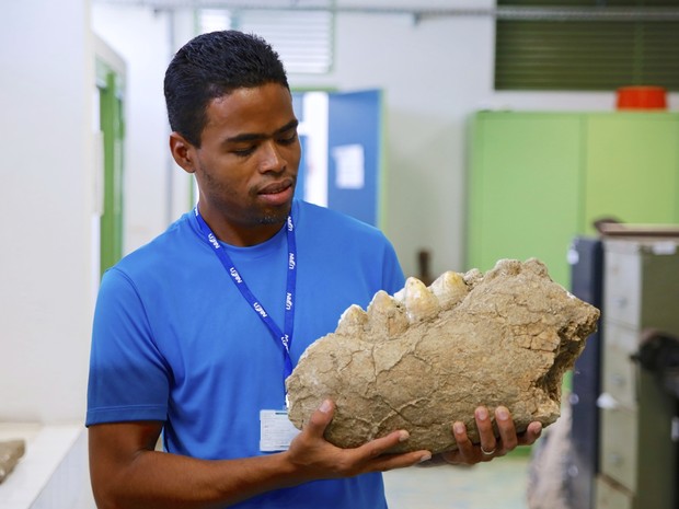 Fóssil do pré-histórico mastodonte foi encontrado em uma fazenda do município de Florânia (Foto: Cícero Oliveira/Divulgação UFRN)