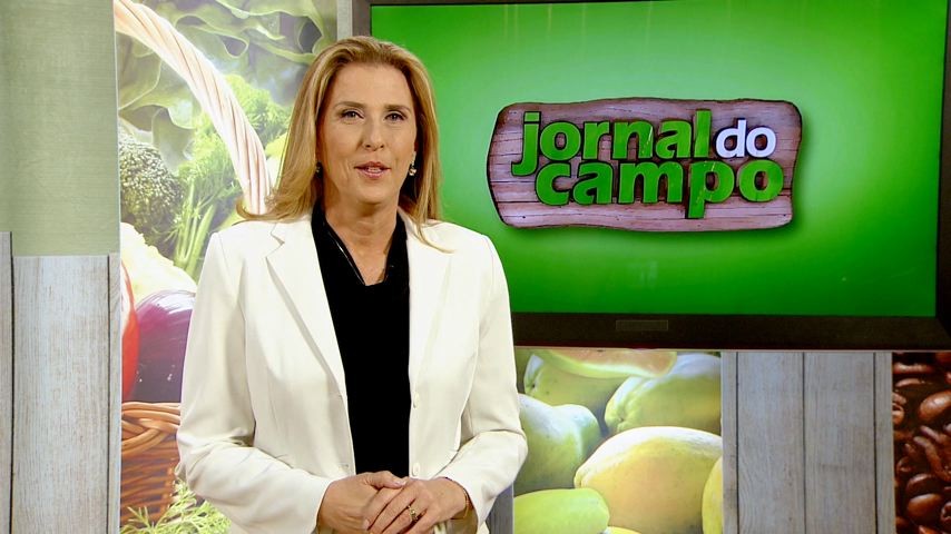 Claudia Gregório (Foto: Divulgação/ TV Gazeta)