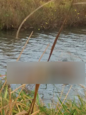 Corpo foi encontrado em represa em Ituiutaba (Foto: Polícia Militar/Divulgação)