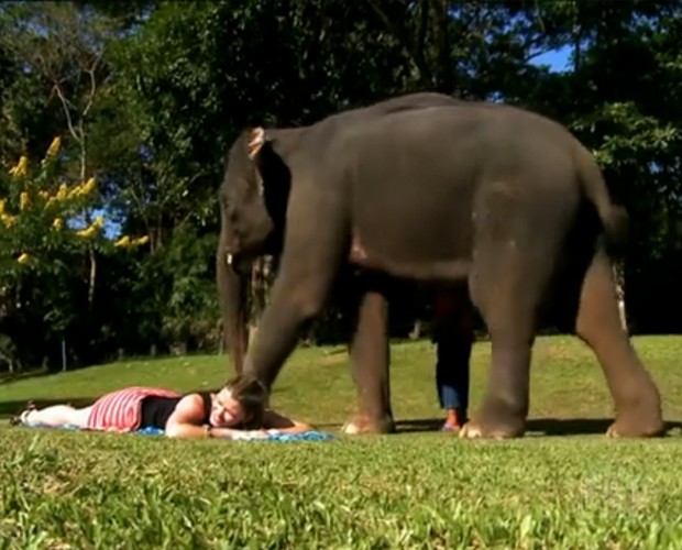 Kika recebe massagem de elefante de 1.000 kilos (Foto: Tv Globo)