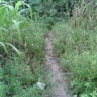 7 crianças e adolescentes somem ao ir à escola no AM (Rosianne Couto/G1 AM)