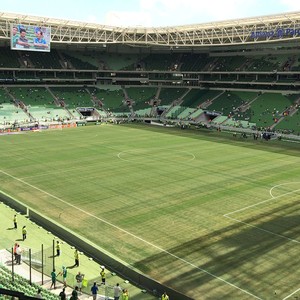Palmeiras x Shandong Luneng: 14 mil ingressos vendidos para o amistoso