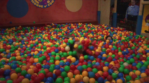 Bazinga! (Foto: Reprodução) Bazinga! (Foto: Reprodução)