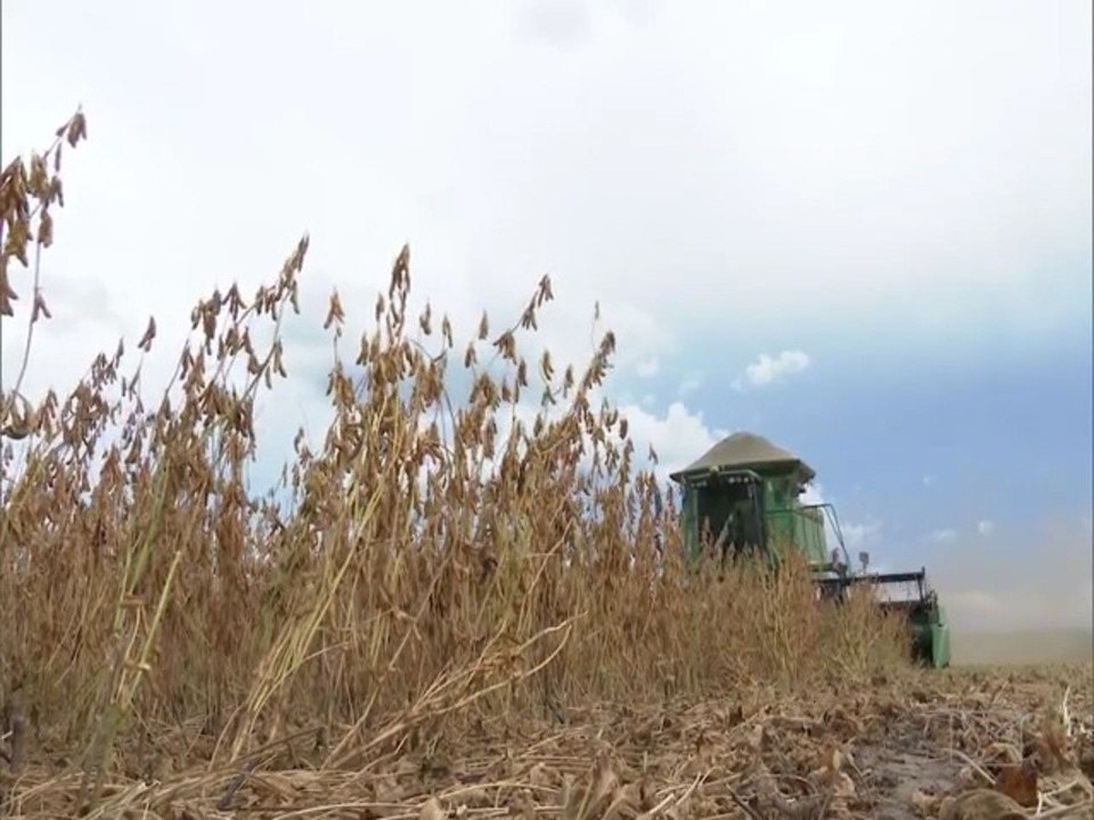 Mirante Rural mostra o fim da colheita da soja no Sul do Maranhão TV