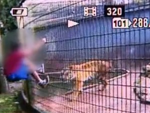 Menino teve o braõ dilacerado por tigre em zoológico de Casacavel (Foto: Reprodução / RPC TV)