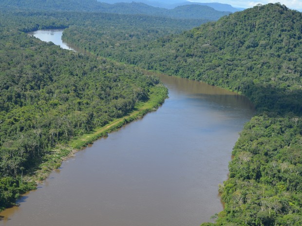 Segundo dados do Inpe, Roraima tem 67% de florestas (Foto: Vanessa Lima/G1 RR)
