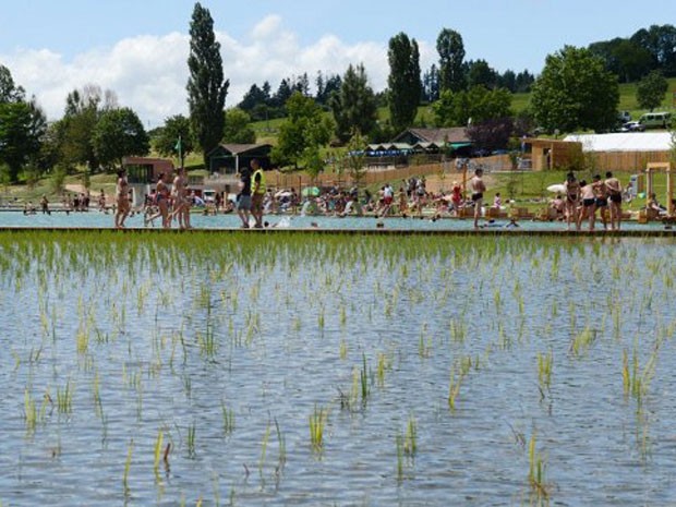 Moradores de Cublize, na França aproveitam o calor do verão europeu para nadar em um lago artificial construído na cidade com uma técnica renovável para limpeza da água. (Foto: Philippe Desmazes/AFP)