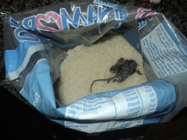 Rato supostamente encontrado dentro de pacote de arroz em São José dos Campos (Foto: arquivo pessoal/Tainara Alves Silva)