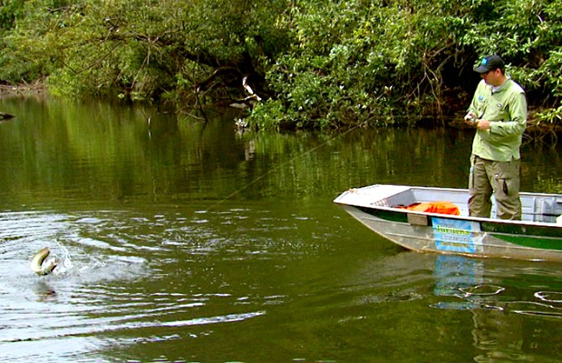 A equipe do Terra da Gente explora os lagos amazônicos escondidos no meio da floresta (Foto: Reprodução EPTV)
