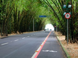 Ciclofaixa do aeroporto de Salvador é entregue (Foto: Divulgação/Prefeitura de Salvador)