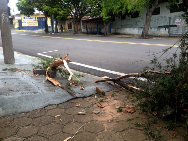 Acidente foi registrado na Avenida Brasil, em Presidente Prudente (Foto: Heloise Hamada/G1) Acidente foi registrado na Avenida Brasil, em Presidente Prudente (Foto: Heloise Hamada/G1)