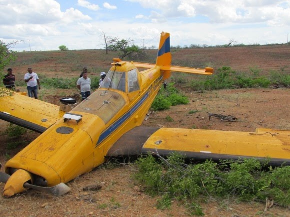 Avião monomotor faz pouso forçado no município de Floresta, no Sertão de Pernambuco (Foto: Divulgação/ Blog O Povo com a Notícia)