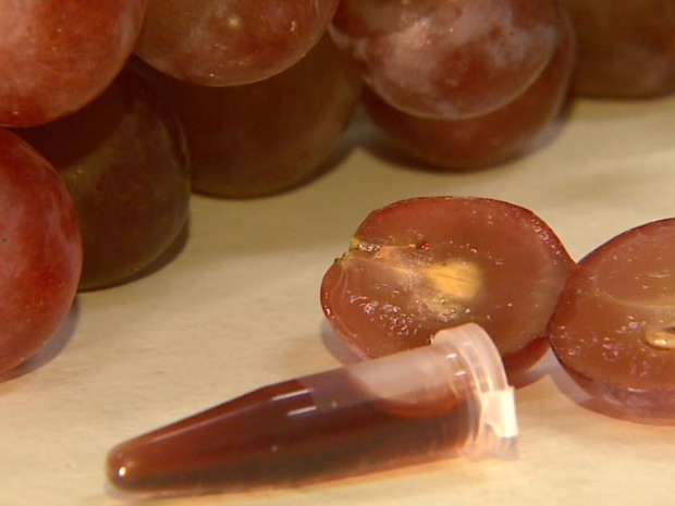 Extrato de semente da uva traz mais durabilidade às restaurações dentárias, segundo estudo (Foto: Valdinei Malaguti/EPTV)